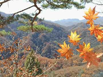 《电视剧芸娘》深度解析：古装爱情剧的经典之作